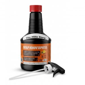 ANTI-MOHO SPRAY RENOV EXPRESS 0.5LT